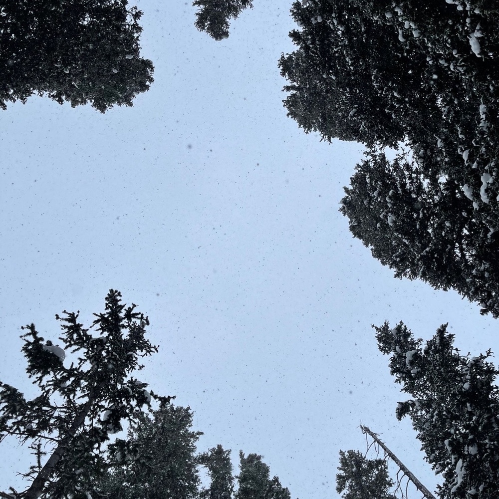 Meet your Posher, Emmy